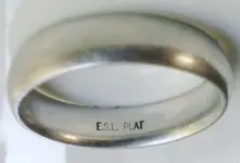 plat mark.webp