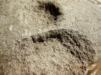 DSCN3058.webp