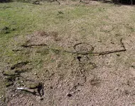DSCF7937 (2).webp
