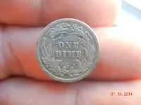 DSCN1370.webp