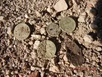 6 coin Day 001.webp 6 coin Day 001.webp