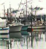 reflections.webp