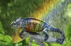 1239497_10151593447102131_11256225_n.webp
