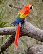 1469777_10151753343007131_1687181969_n.webp
