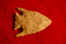 arrowheads 049.webp