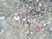 2011-01-22 16.20.54-Roman.webp