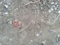 2011-01-22 16.21.42-Roman.webp