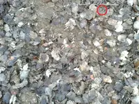 2011-01-22 16.22.08-Roman.webp