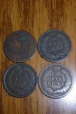 DSCN4783.webp