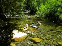 DSCN2533.webp