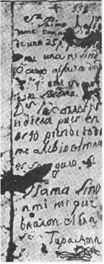 ultima_c.webp