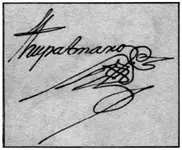 firma_am.webp