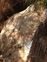 image-3601799052.webp