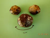 DSCN4612.webp