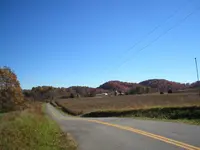 P1010017.webp