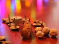 12132013e.webp
