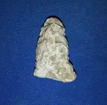 20140125_113419~01.webp