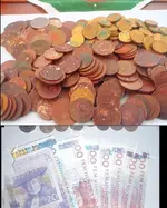 brunkronor.webp brunkronor.webp