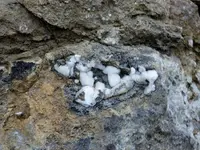 road cut calcite crystals.webp