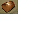 Untitled.webp