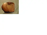 Untitled2.webp
