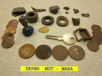 113NUT.webp