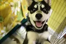 download.webp