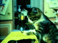 sewkitty.gif