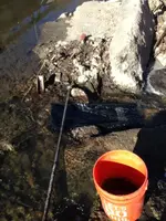image-1212716645.webp
