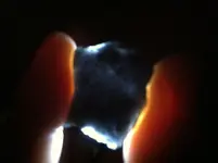 rock.webp