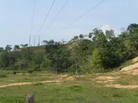 Imagenes parcela sabana 01.webp