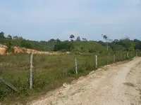 Imagenes parcela sabana 02.webp