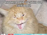 hurr-durr-derp-face-another-round-of-catnip-for-everybody[1].webp