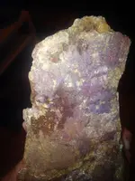 image-2390095566.webp