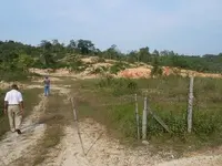 Imagenes parcela sabana 03.webp