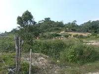 Imagenes parcela sabana 04.webp
