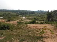 Imagenes parcela sabana 05.webp