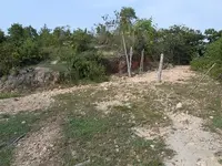 Imagenes parcela sabana 06.webp