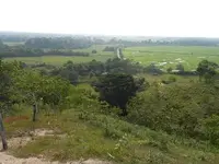 Imagenes parcela sabana 07.webp