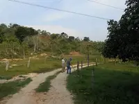 Imagenes parcela sabana 11.webp
