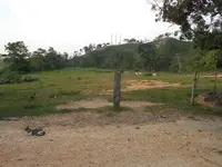 Imagenes parcela sabana 12.webp