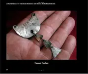 silver.webp