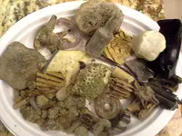 20140113_173949.webp