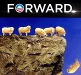 130520_sheep-forward_225.webp