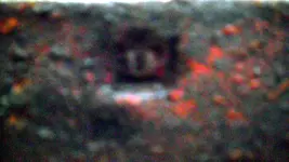 SAM_2498.webp