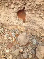 image-668573624.webp