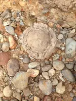 image-6885093.webp