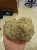 rock 1.webp