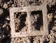 3-11-07 003.webp