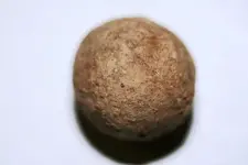 musketball.webp